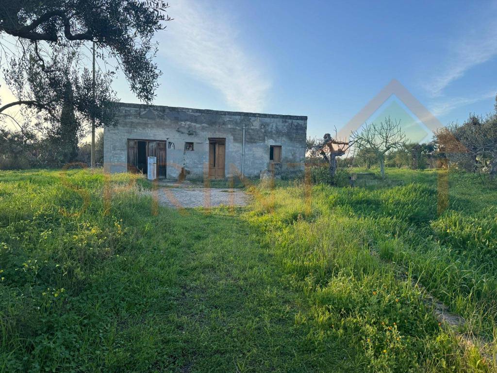 immagine annuncio 3 di 4