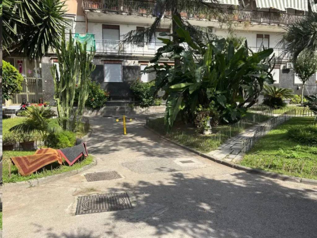 immagine annuncio 2 di 4