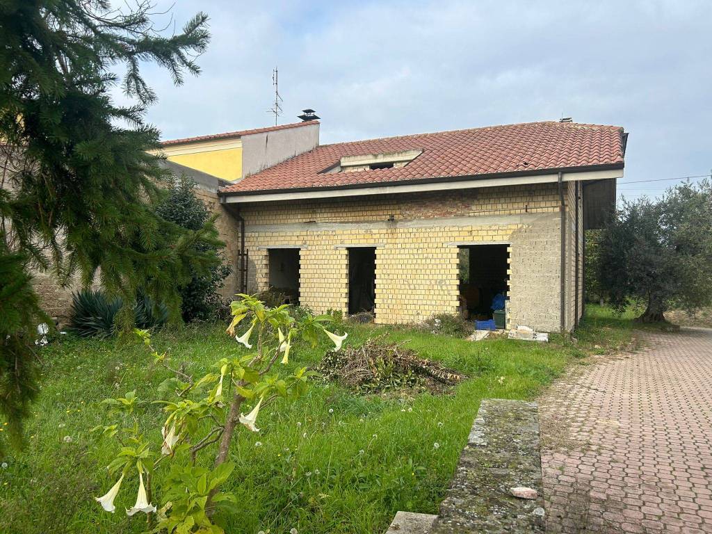 immagine annuncio 4 di 5