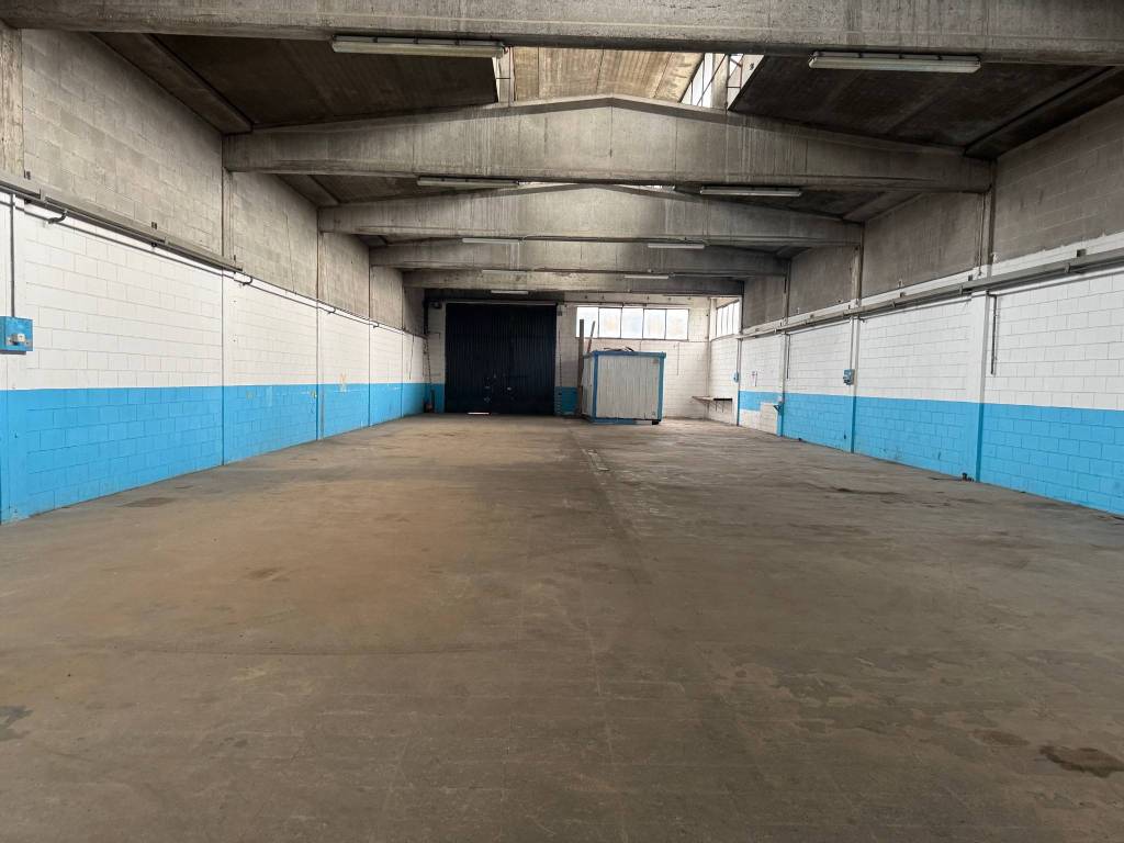 immagine annuncio 3 di 5