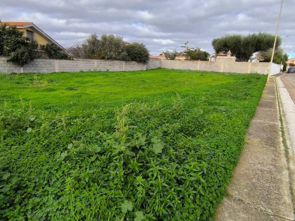 immagine annuncio 1 di 3