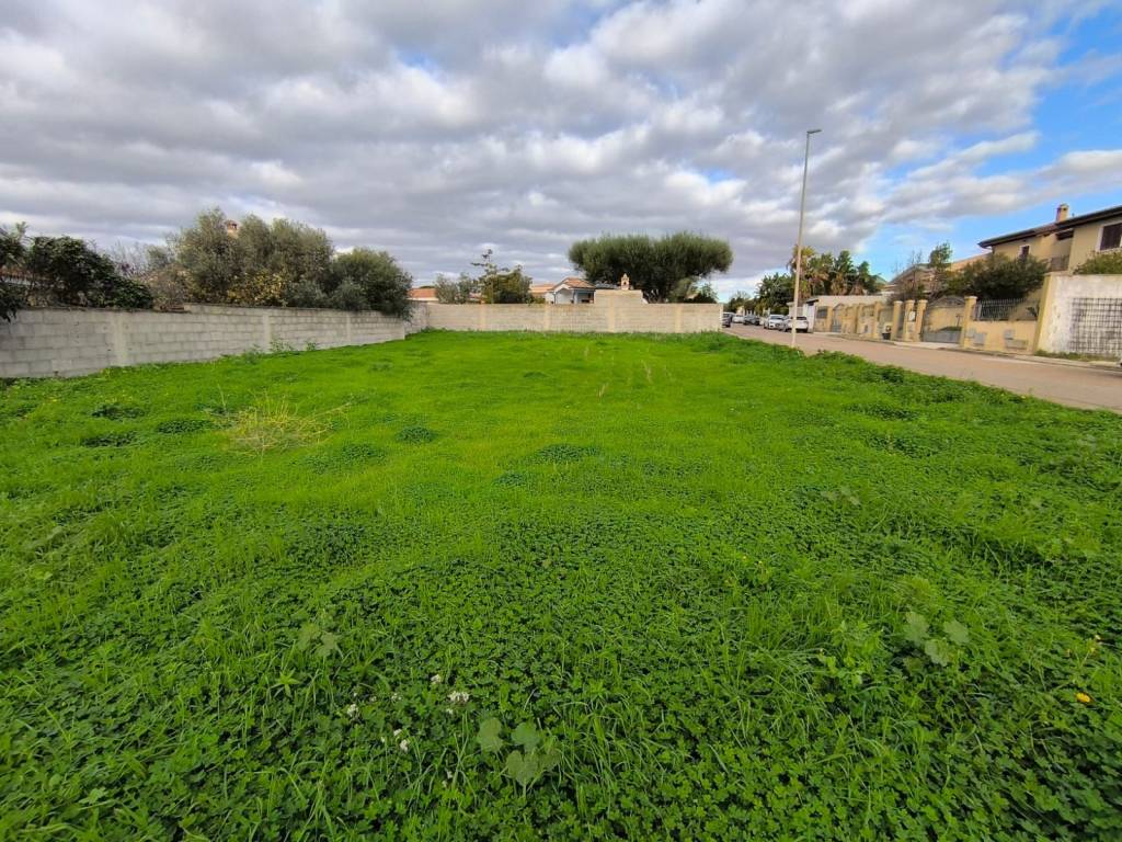 immagine annuncio 2 di 3