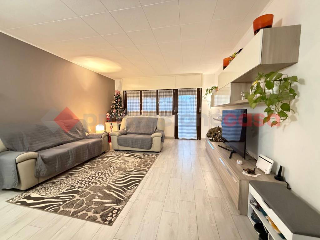 immagine annuncio 0 di 1