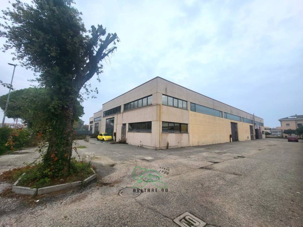 immagine annuncio 1 di 5