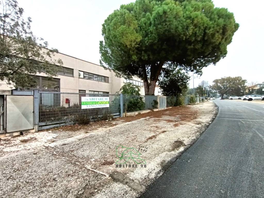 immagine annuncio 4 di 5