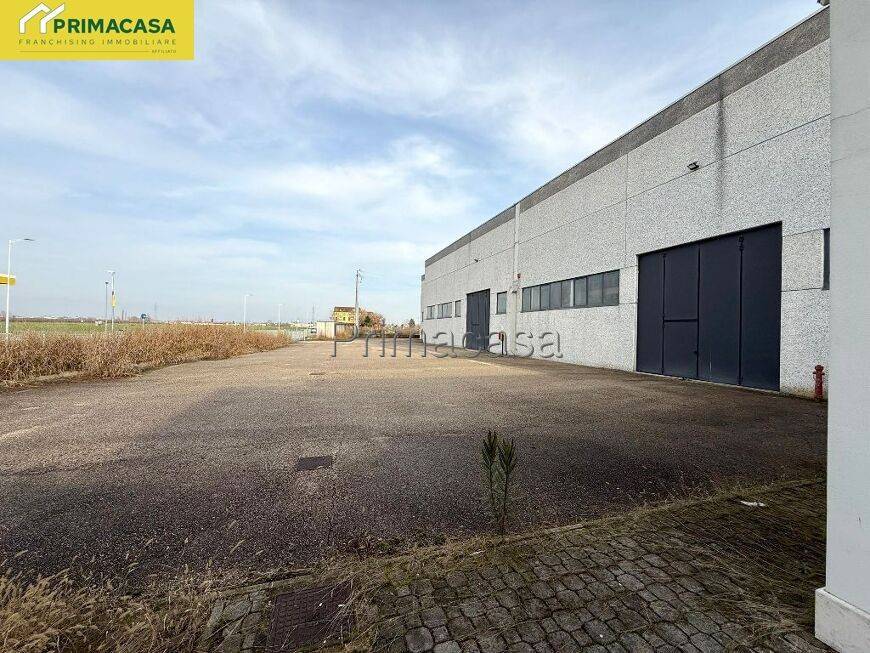 immagine annuncio 3 di 5