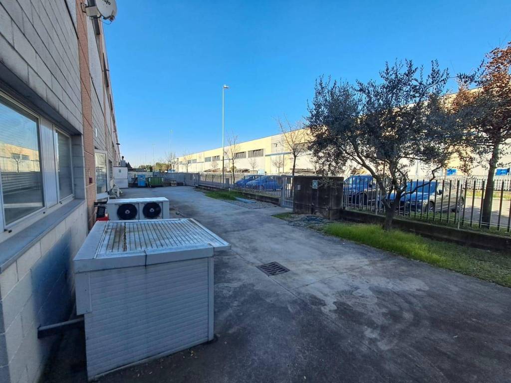 immagine annuncio 2 di 5