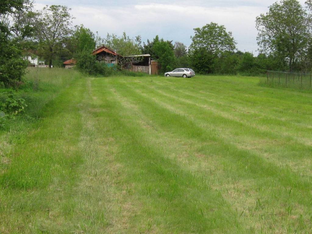 immagine annuncio 1 di 4