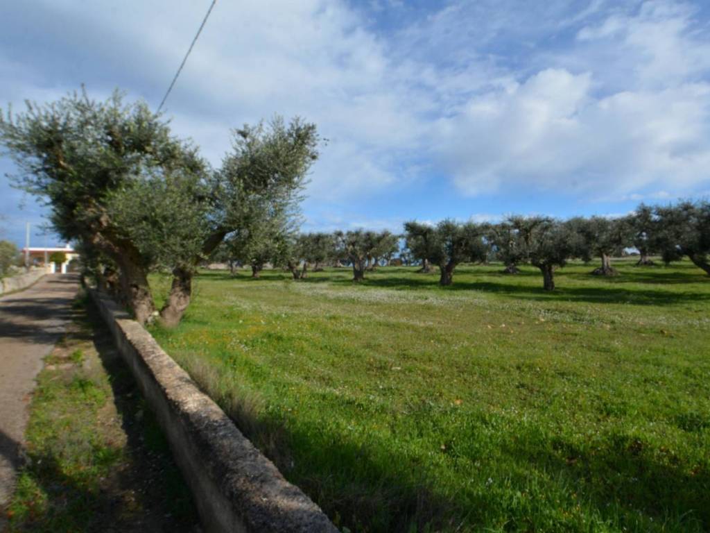 immagine annuncio 3 di 4