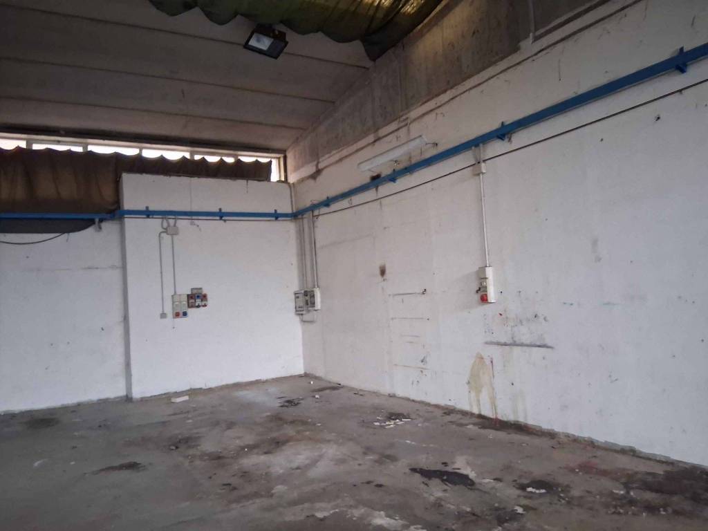 immagine annuncio 1 di 4