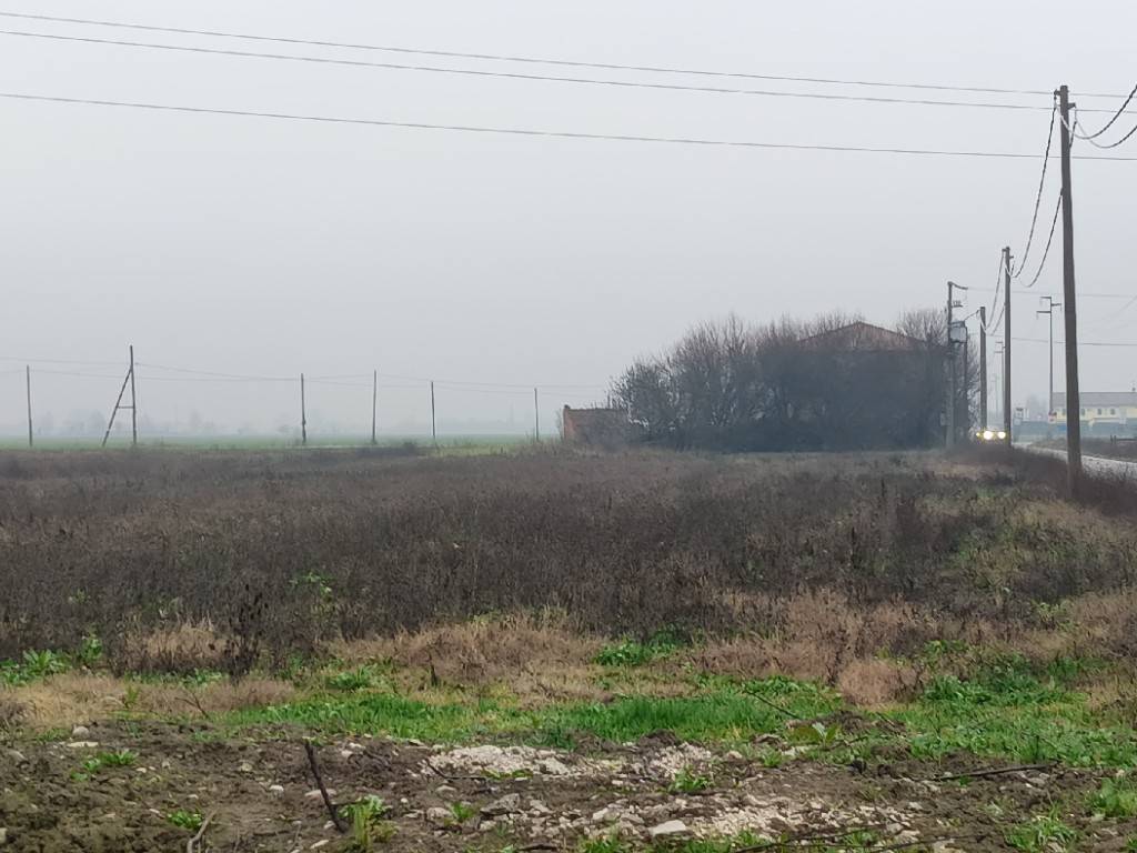 immagine annuncio 2 di 4