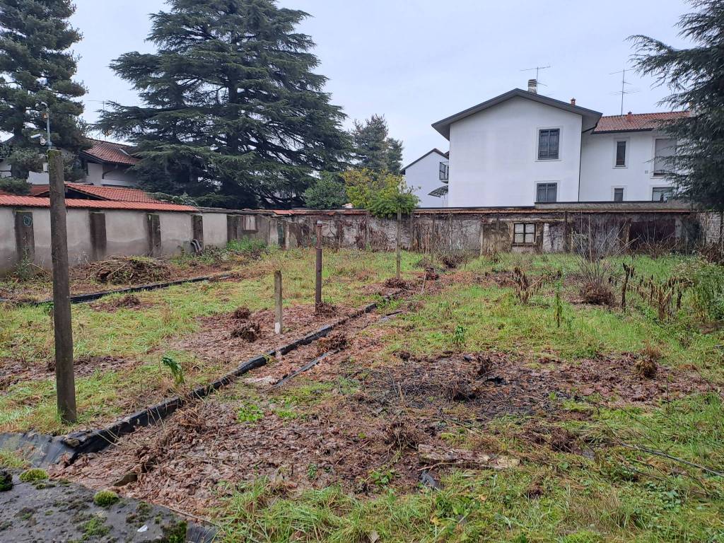 immagine annuncio 3 di 4