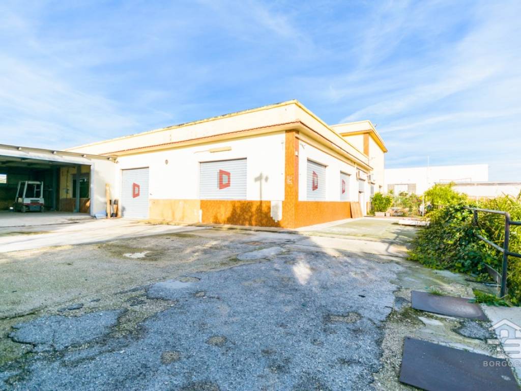 immagine annuncio 4 di 5