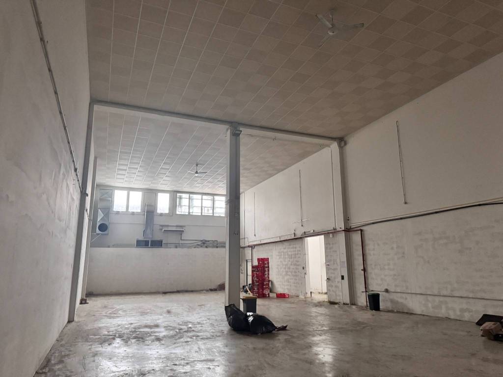 immagine annuncio 1 di 4