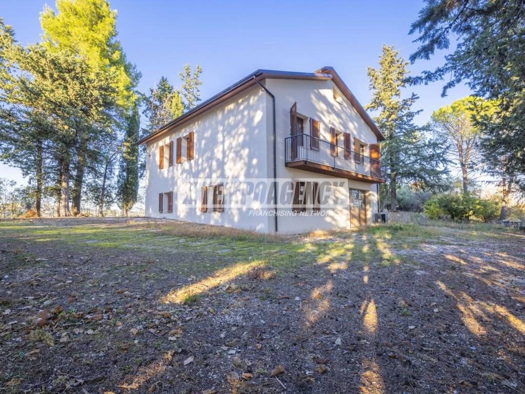 immagine annuncio 0 di 1