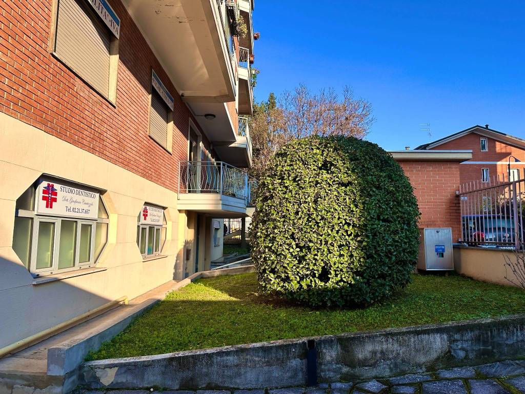 immagine annuncio 2 di 5