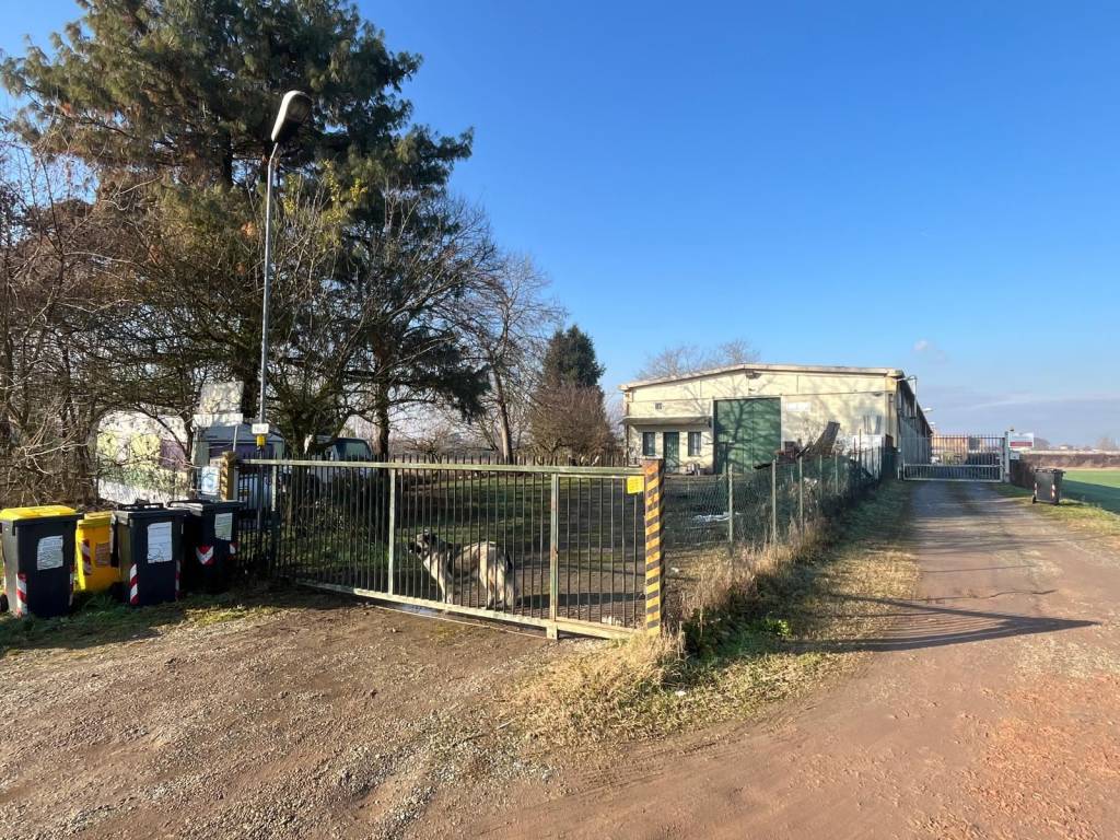 immagine annuncio 1 di 5