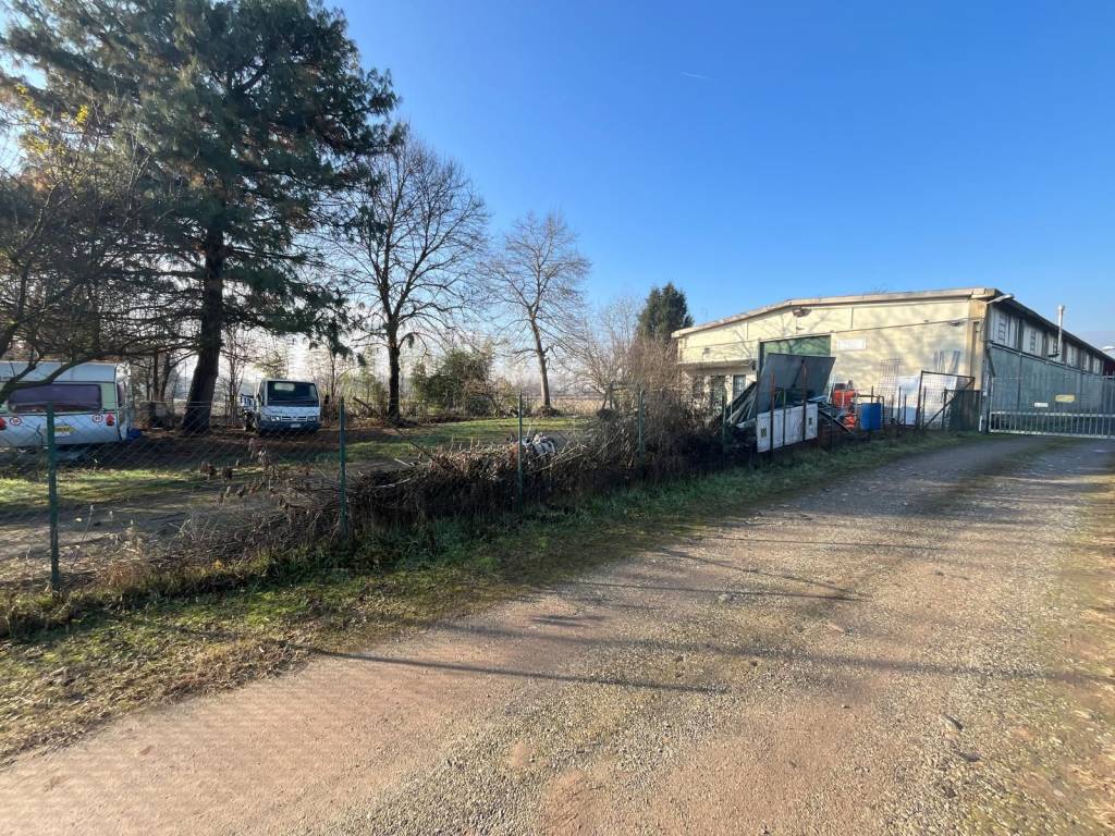 immagine annuncio 3 di 5