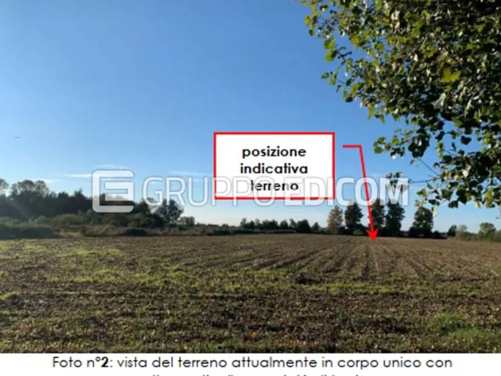 immagine annuncio 1 di 2