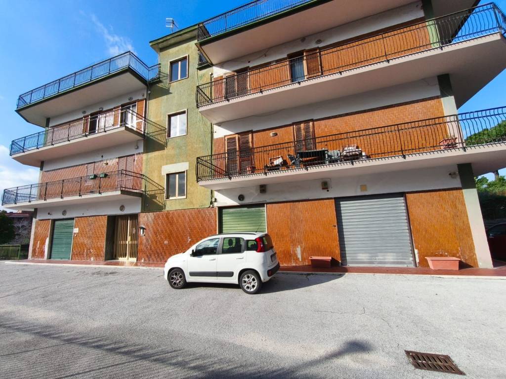 immagine annuncio 2 di 5