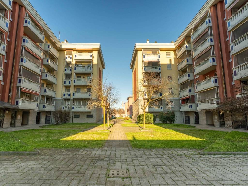 immagine annuncio 2 di 5