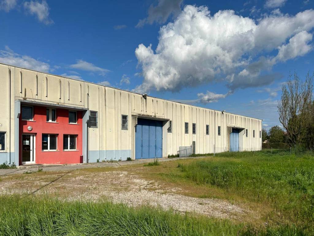 immagine annuncio 1 di 5