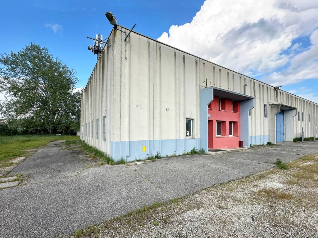 immagine annuncio 4 di 5