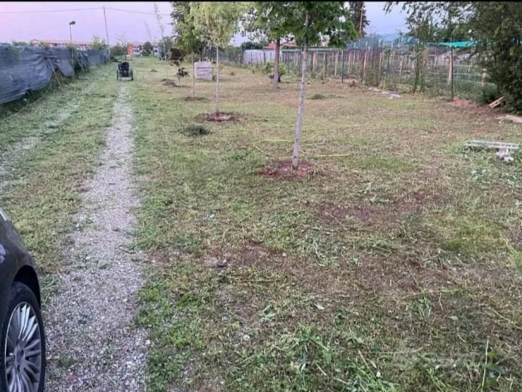 immagine annuncio 1 di 2