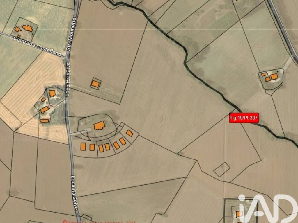 immagine annuncio 4 di 5