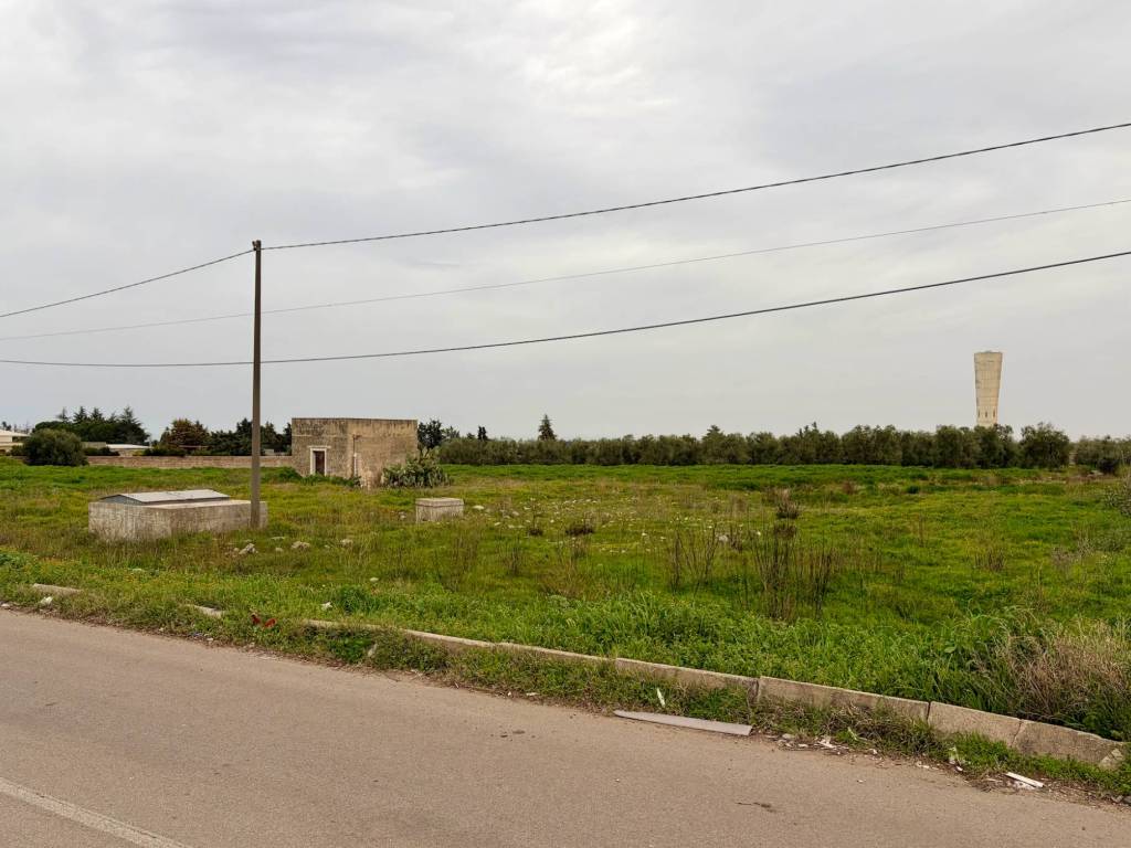 immagine annuncio 2 di 4