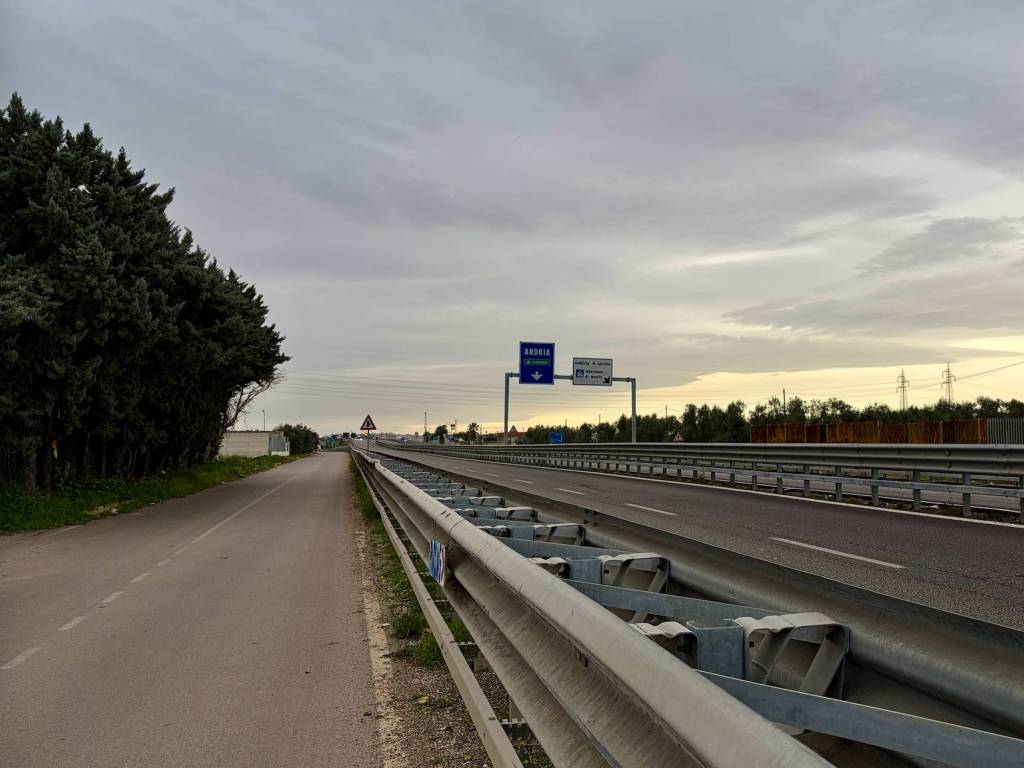 immagine annuncio 3 di 4