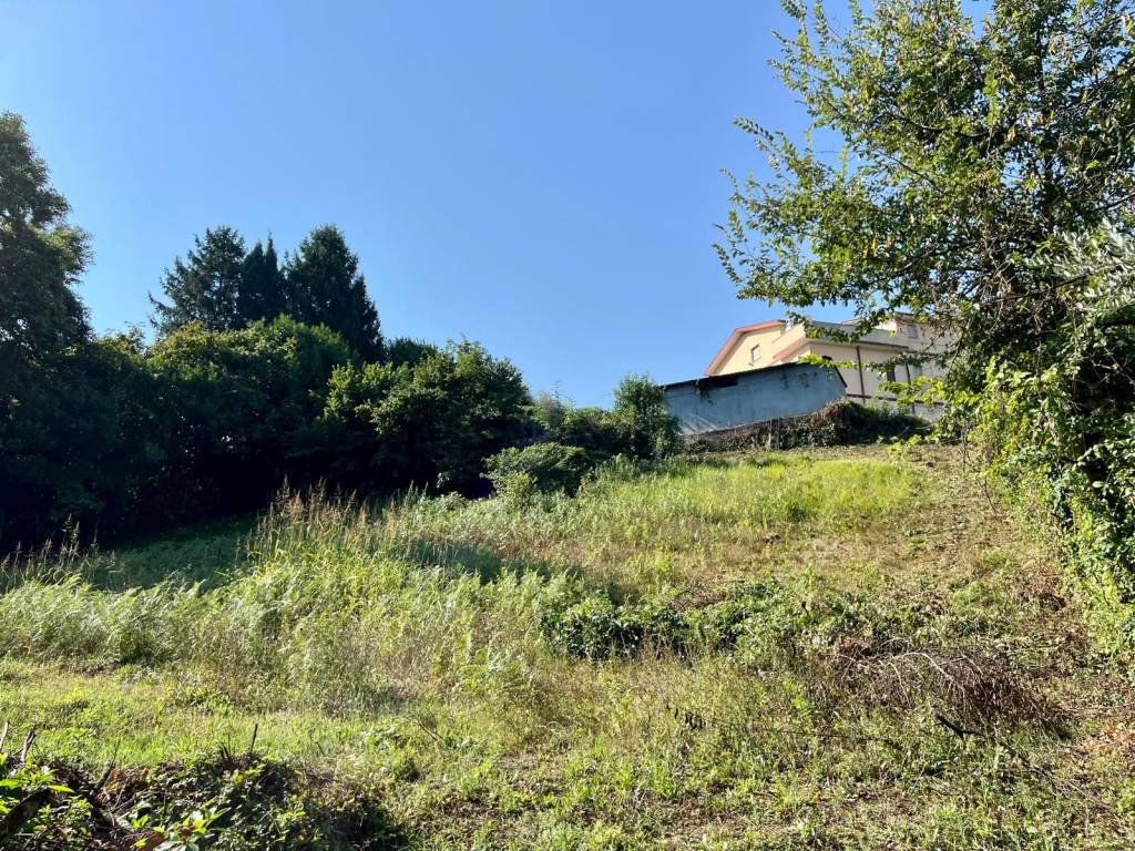 immagine annuncio 1 di 3