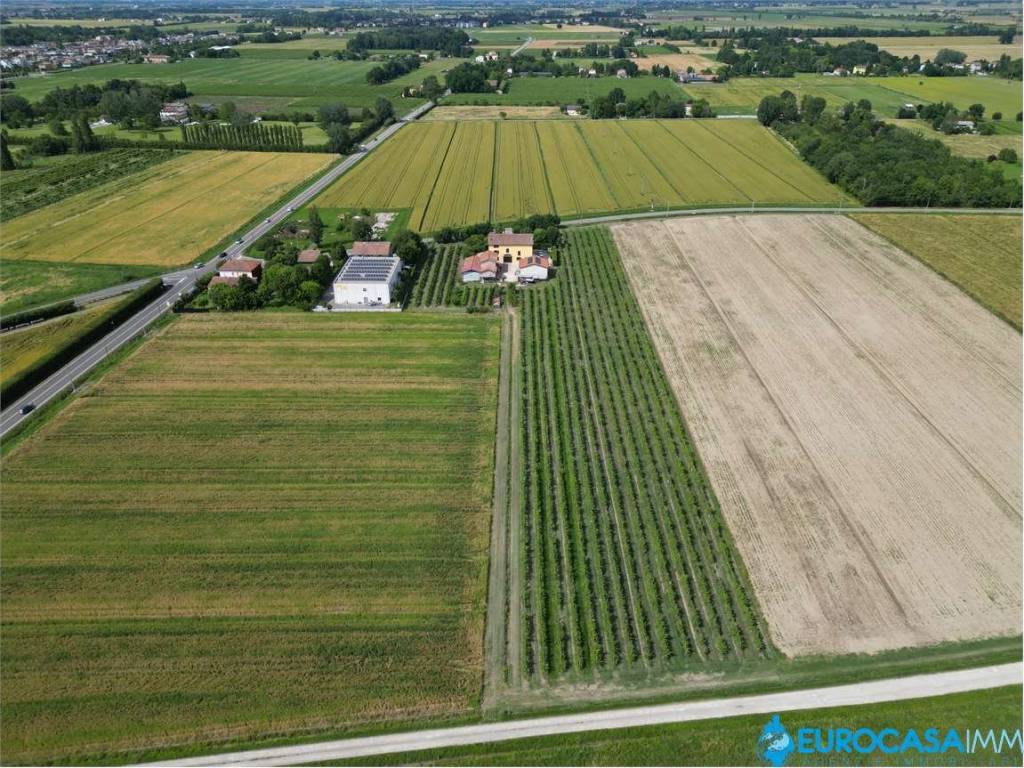 immagine annuncio 1 di 4