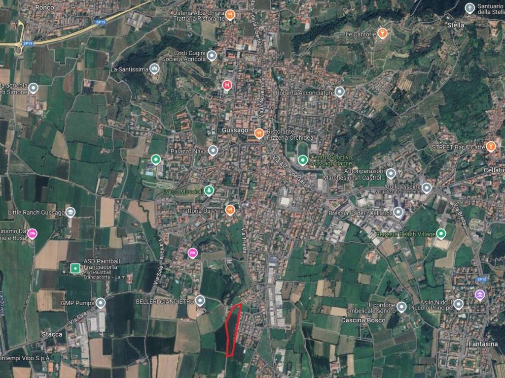 immagine annuncio 1 di 2