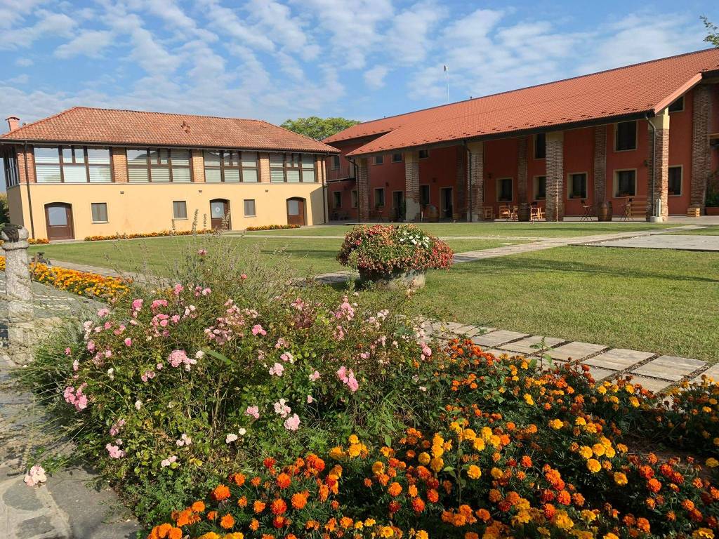 immagine annuncio 3 di 5