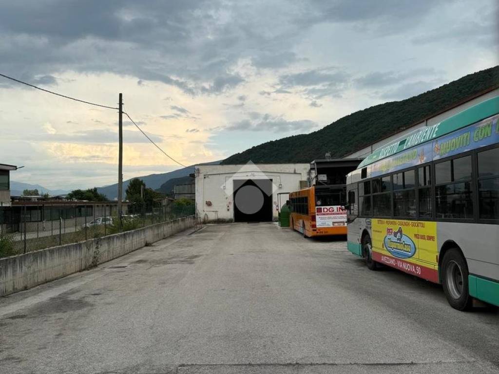 immagine annuncio 1 di 4