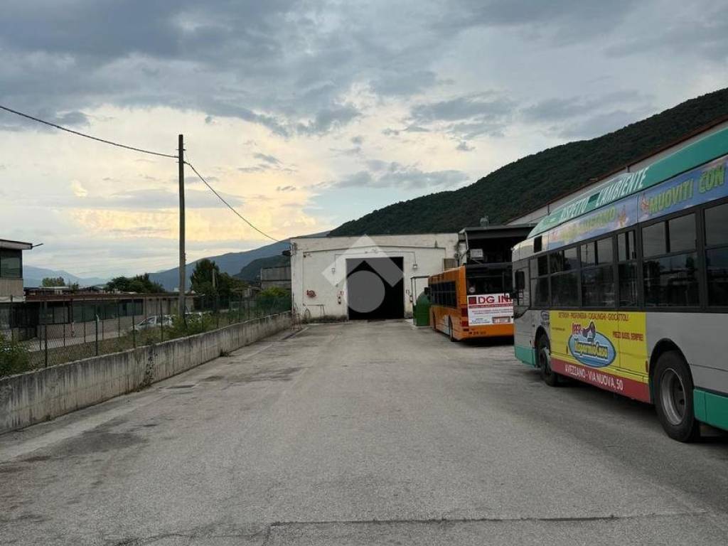 immagine annuncio 2 di 4