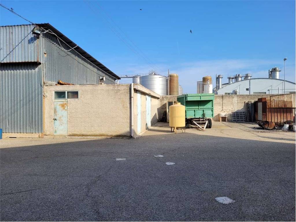 immagine annuncio 4 di 5