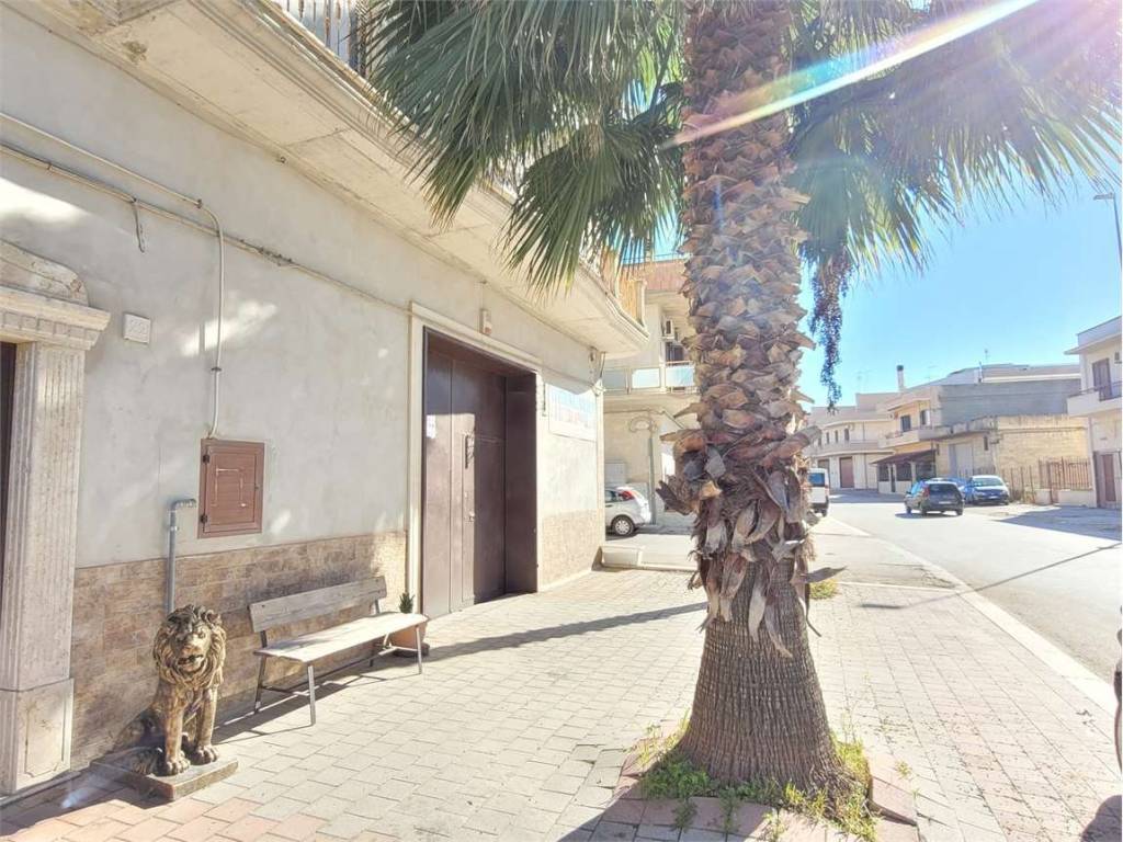 immagine annuncio 1 di 3