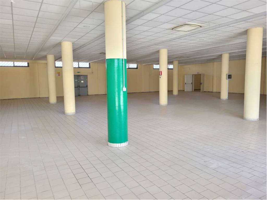 immagine annuncio 4 di 5