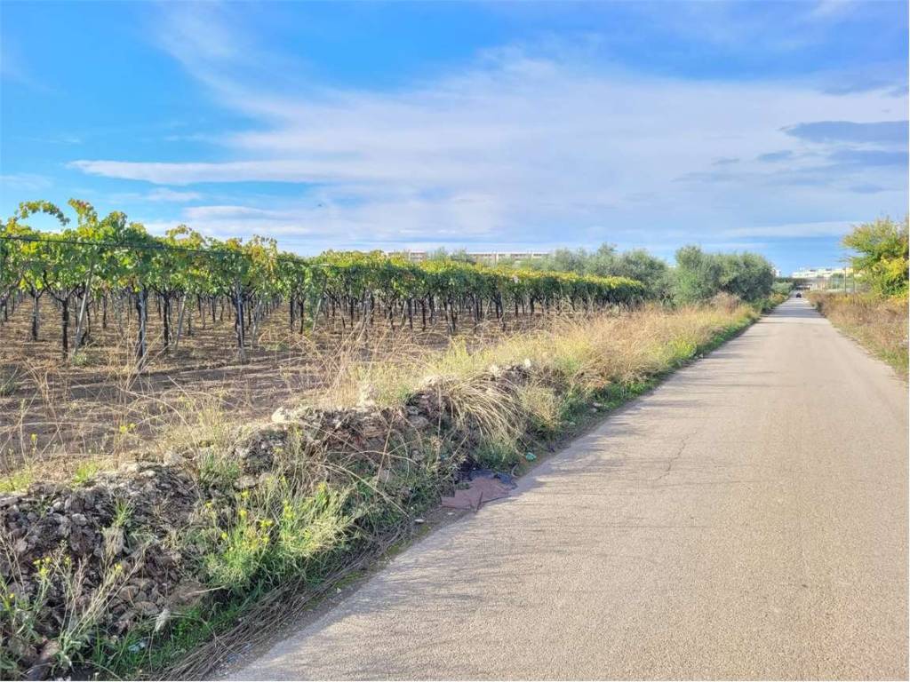 immagine annuncio 0 di 1