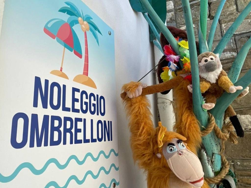 immagine annuncio 2 di 4