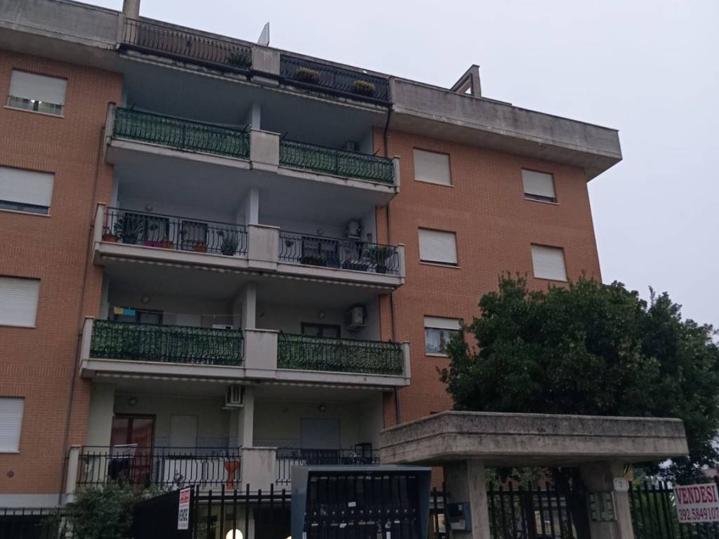 immagine annuncio 3 di 5