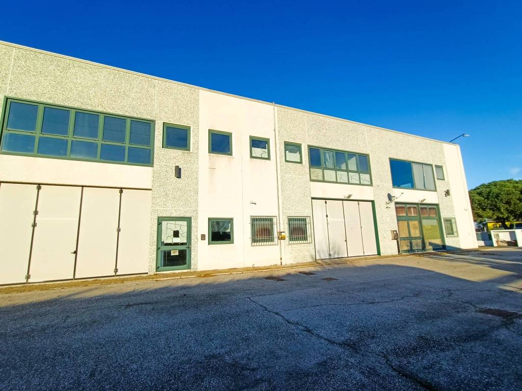 immagine annuncio 3 di 5