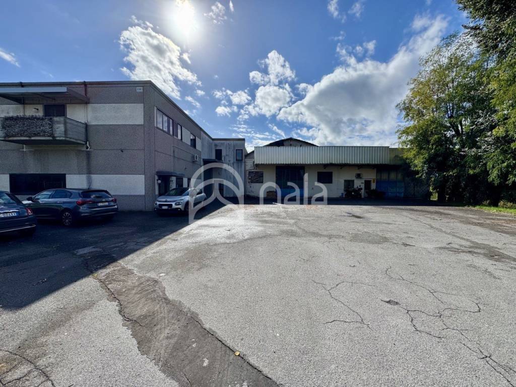 immagine annuncio 2 di 5