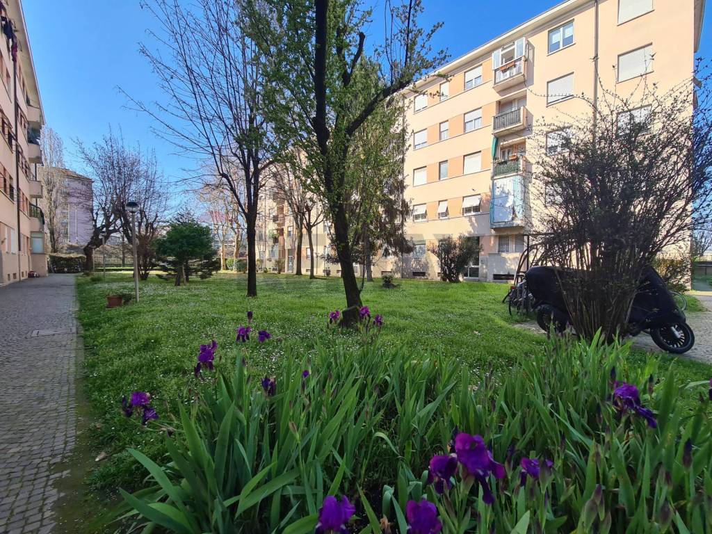 appartamento in affitto a Milano in zona Segnano