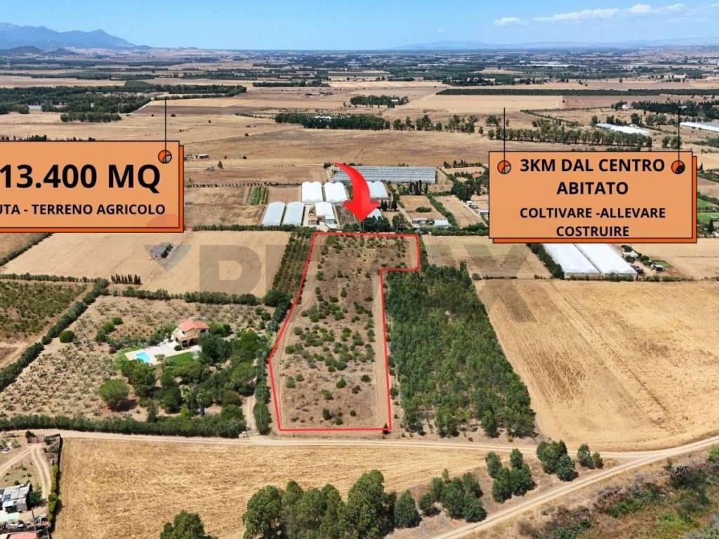 immagine annuncio 1 di 4