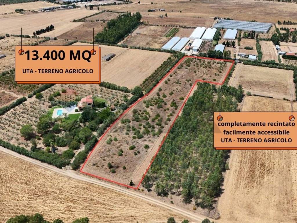 immagine annuncio 2 di 4