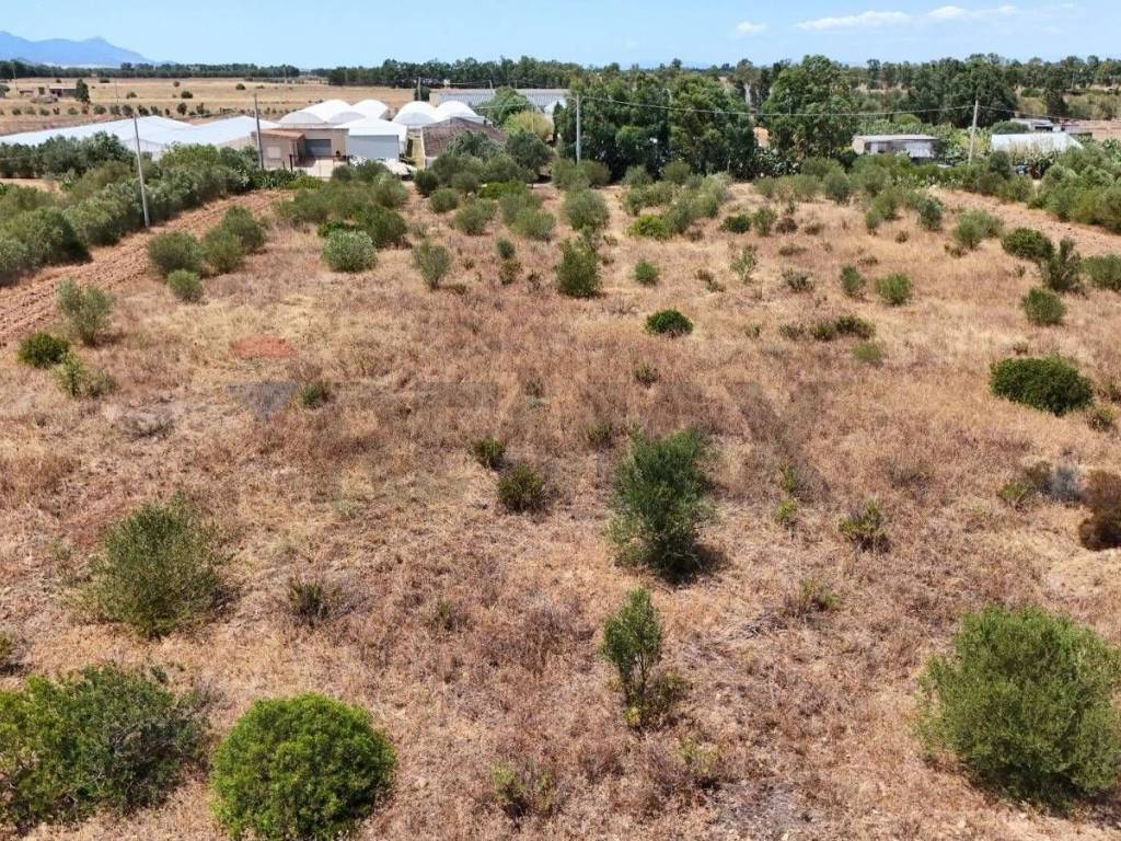 immagine annuncio 3 di 4