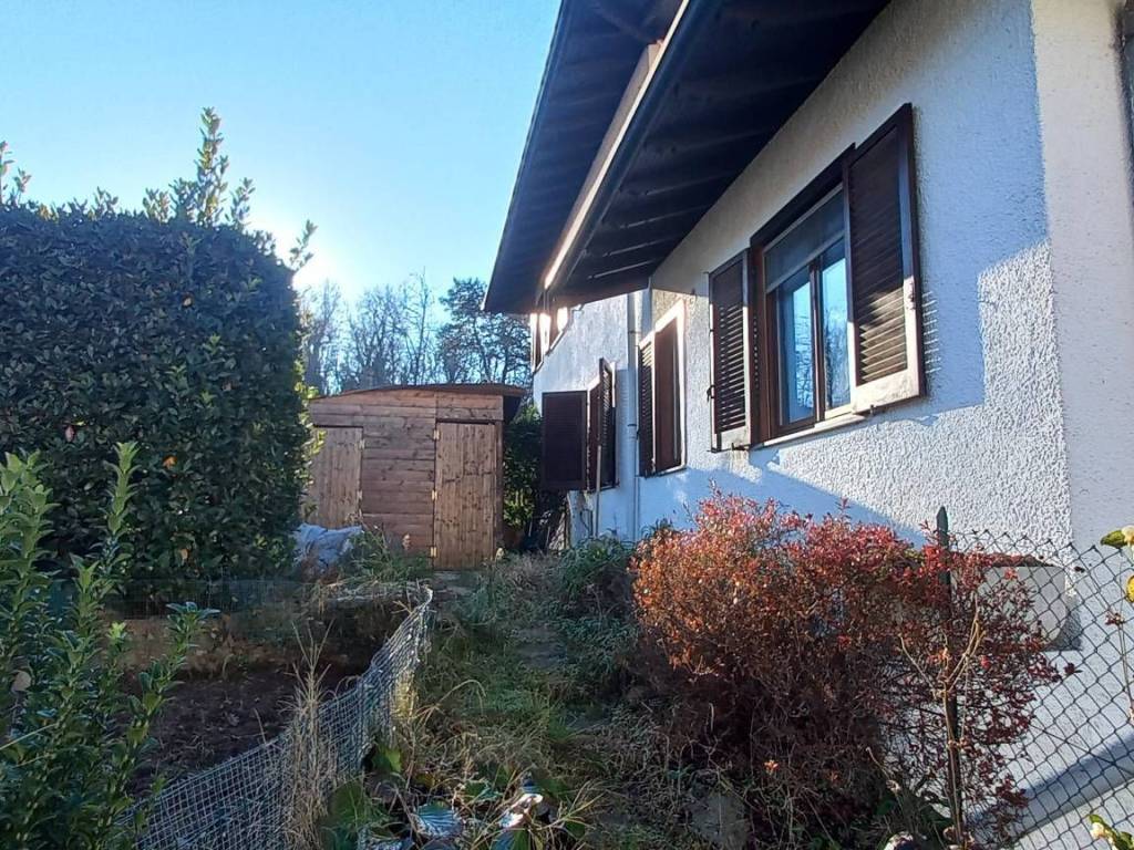 immagine annuncio 2 di 5